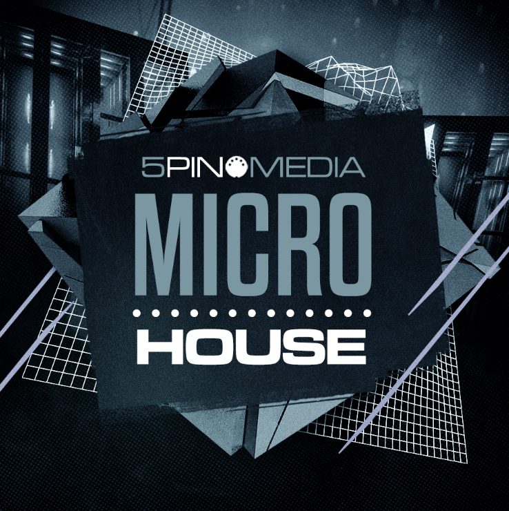 5Pin Media Micro House