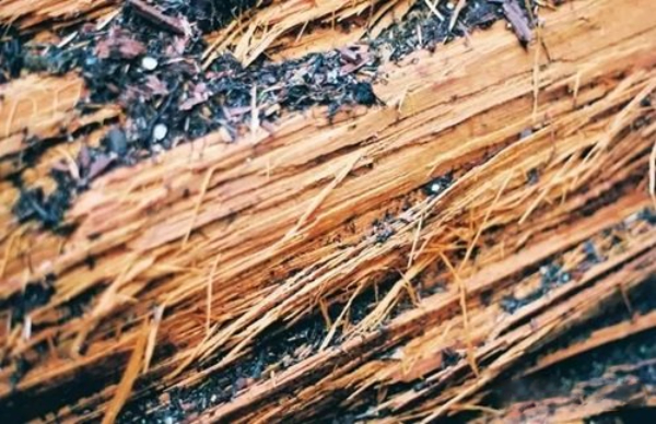 KOAN Sound Sample Giveaway: Foley Pack 02