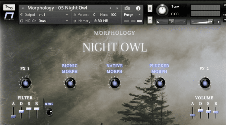 NEST Acoustics Morphology KONTAKT
