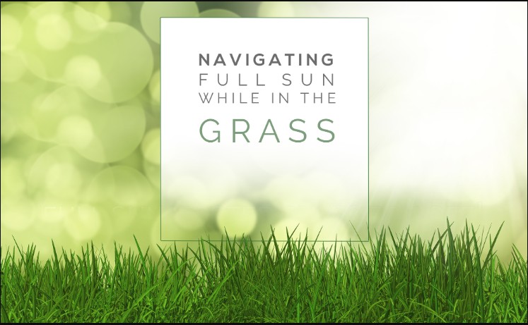 AwTeaches – Full Sun in Green Grass
