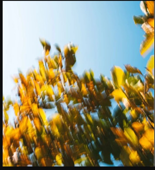Fall Bundle – Lightroom Presets for Mobile & Desktop