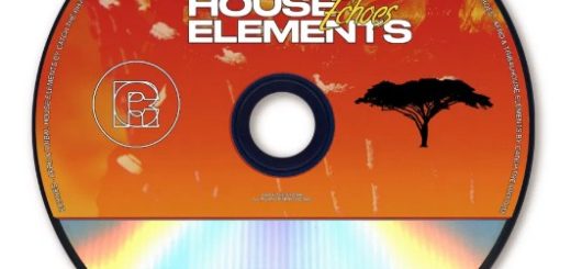 Catch The Rhythm ECHOES: Afro and Tribal House Elements