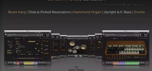 Insanity Samples Screamin' Blues Collection v1.0.1