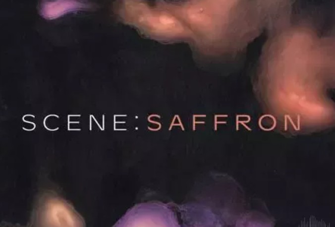 Native Instruments Scene Saffron v1.1.0 KONTAKT