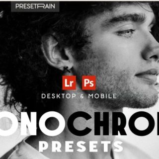 Presetain – Monochrome Lightroom Presets