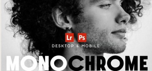 Presetain – Monochrome Lightroom Presets