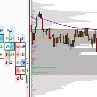 Price Action Volume Trader – Trading With Price Action & Volume Profile