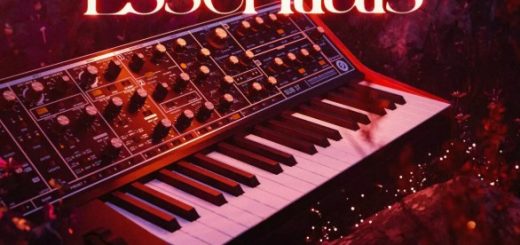 SYNTH PALACE ANALOG ESSENTIALS