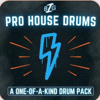 Big Z Sounds Big Z's Pro House Drums