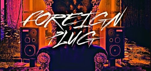 Certified Audio Foreign Plug
