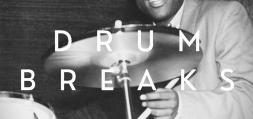 Vinyl Zen Vinyl Drum Breaks Vol. 10 (22 Drum Breaks Perfectly Looped)
