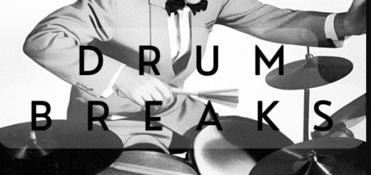 Vinyl Zen Vinyl Drum Breaks Vol. 11 (22 Drum Breaks Perfectly Looped)