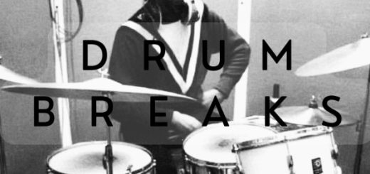 Vinyl Zen Vinyl Drum Breaks Vol. 12 (22 Drum Breaks Perfectly Looped)