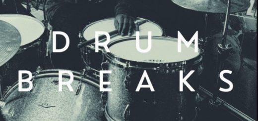 Vinyl Zen Vinyl Drum Breaks Vol. 13 (22 Drum Breaks Perfectly Looped)