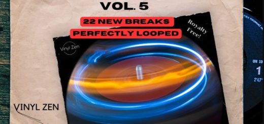 Vinyl Zen Vinyl Drum Breaks Vol. 5 (22 Drum Breaks Perfectly Looped)