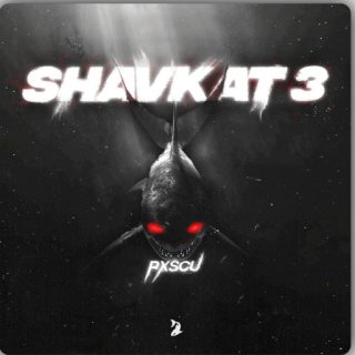 prodbypxscu SHAVKAT 3 (Multi Kit)