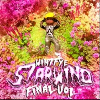 wintfye "丂tar山ind" stash kit final vol.2k24