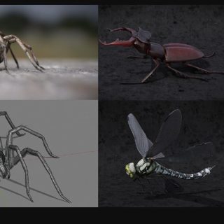 Blendermarket – Blender 2.81 – Insect And Spiders Creation Full Course